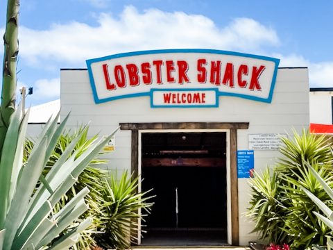 Lobster Shack
