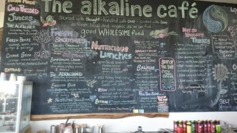 The Alkaline Cafe, Albany