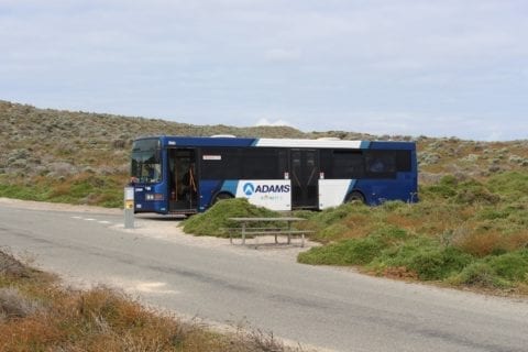 Rottnest Island Explorer Bus Service