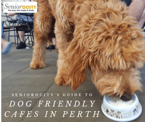 Dog Friendly Cafes in Perth