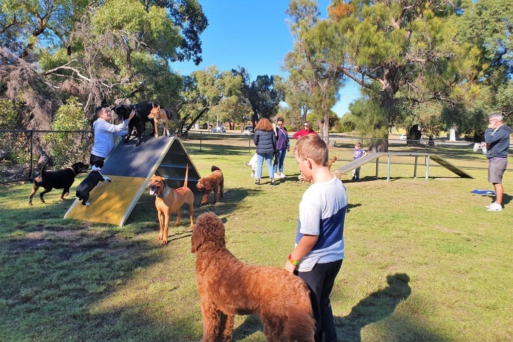 Places to take your dog in Perth