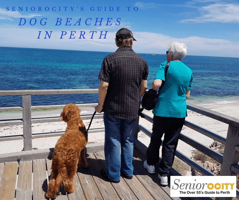 Dog Beaches in Perth