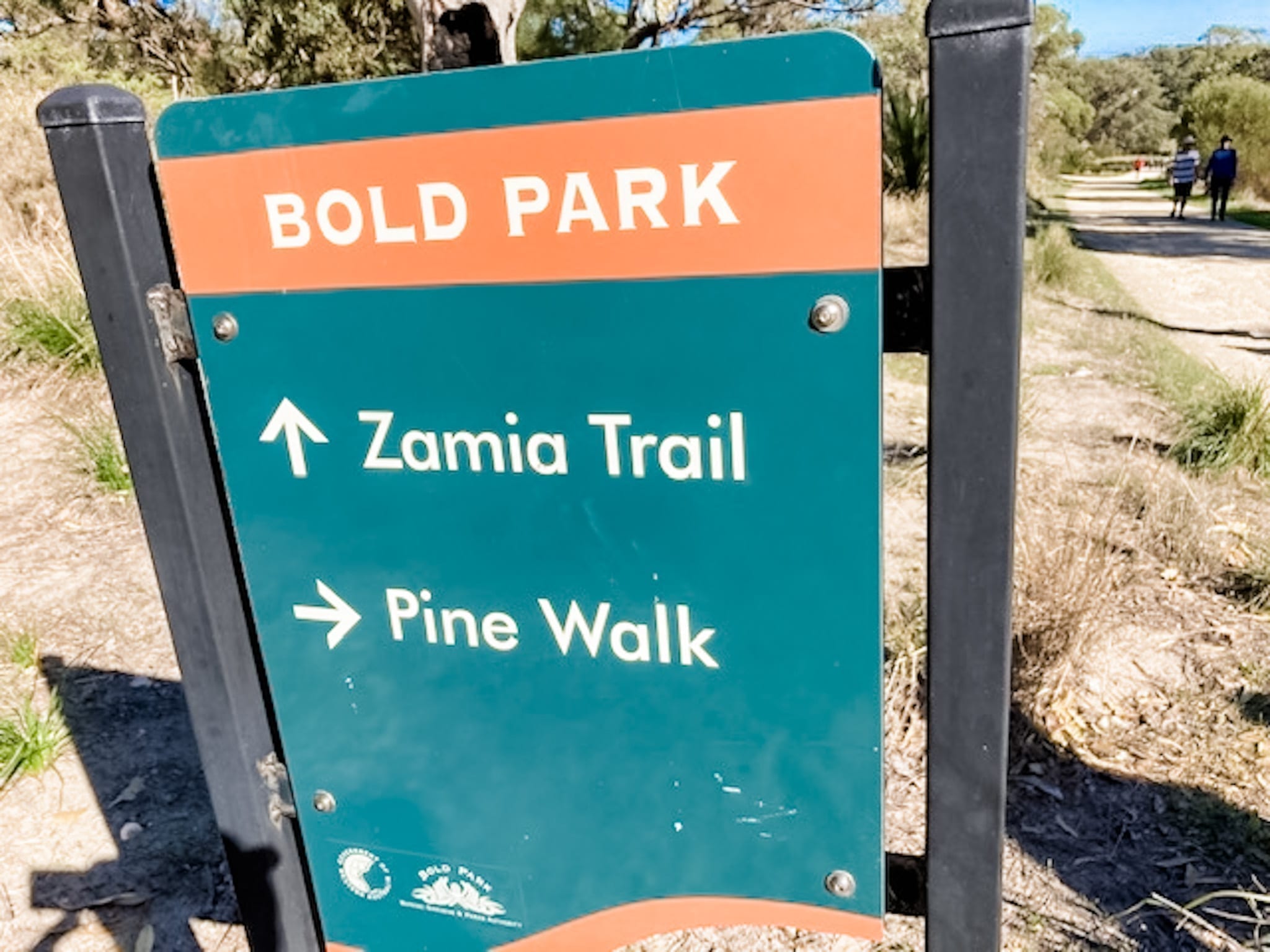 Zamia Trail
