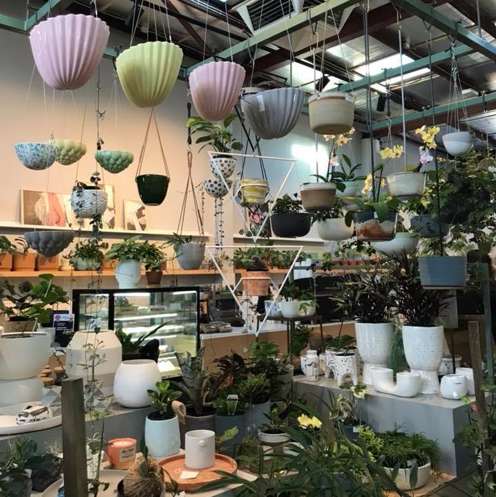 Indoor Plants in Perth